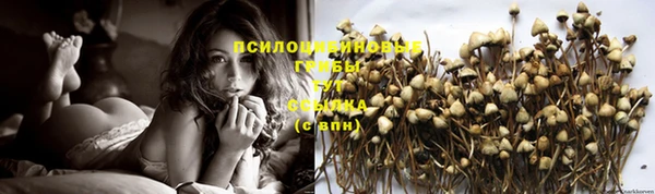 твердый Усолье-Сибирское