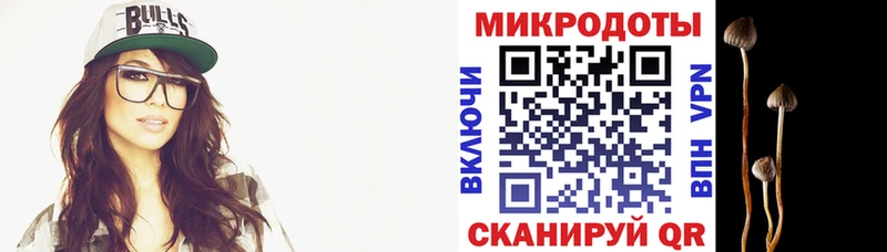 Купить закладки  Усть-Кут  Галлюциногенные грибы Psilocybine cubensis 